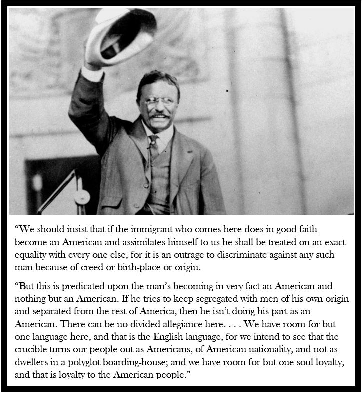 Immigration Teddy Roosevelt