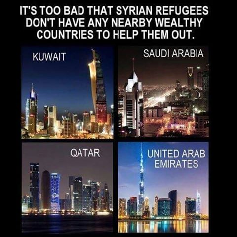Islam Muslim countries that could take them