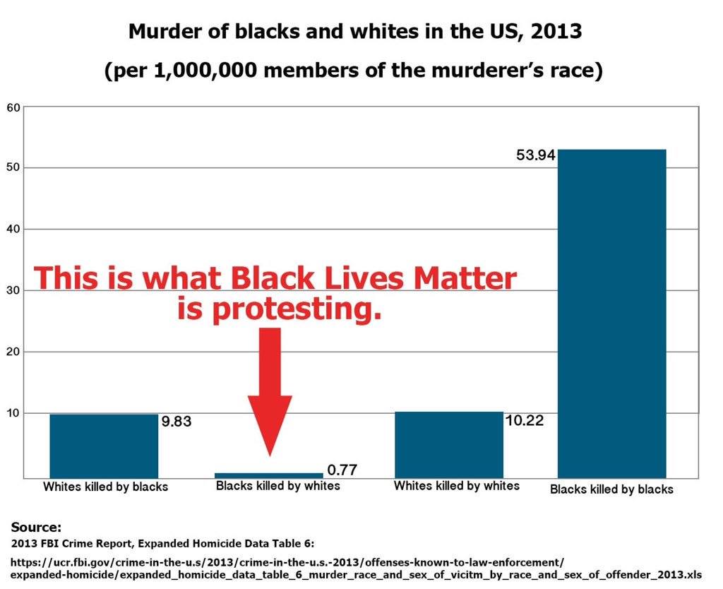 Race what black lives matter protests