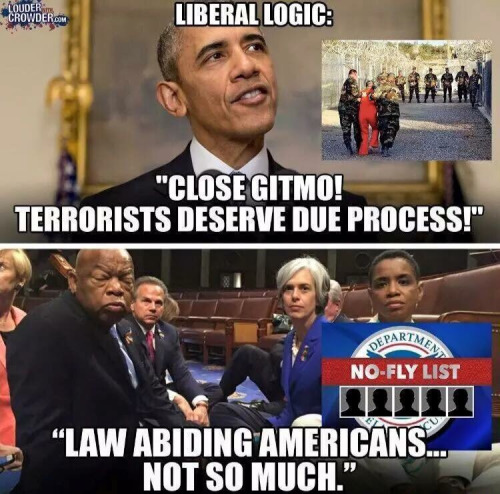 Stupid Leftists rights for Gitmo not for Americans
