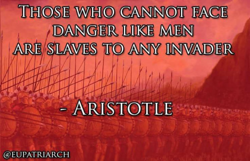 Wisdom Aristotle on danger and slavery