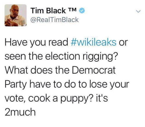 election-nothing-deters-democrats