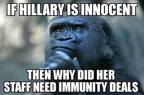 Hillary immunity deals