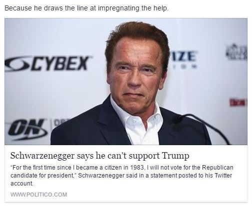 Schwarzenegger endorsement
