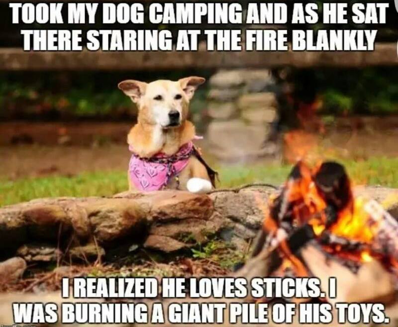 silly-burning-dog-toys