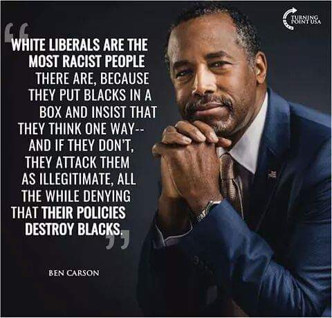 blacks-liberals-put-them-in-box