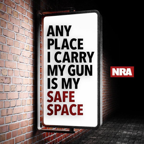 guns-safe-space