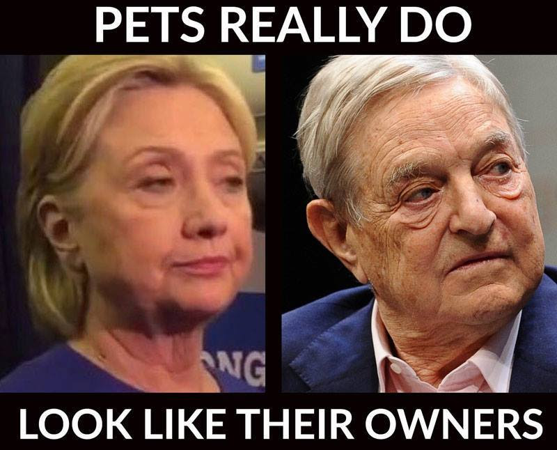 hillary-looks-like-george-soros