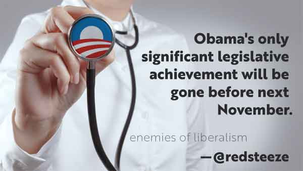stupid-leftists-obamacare