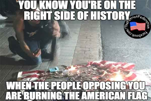 stupid-leftists-burning-american-flag