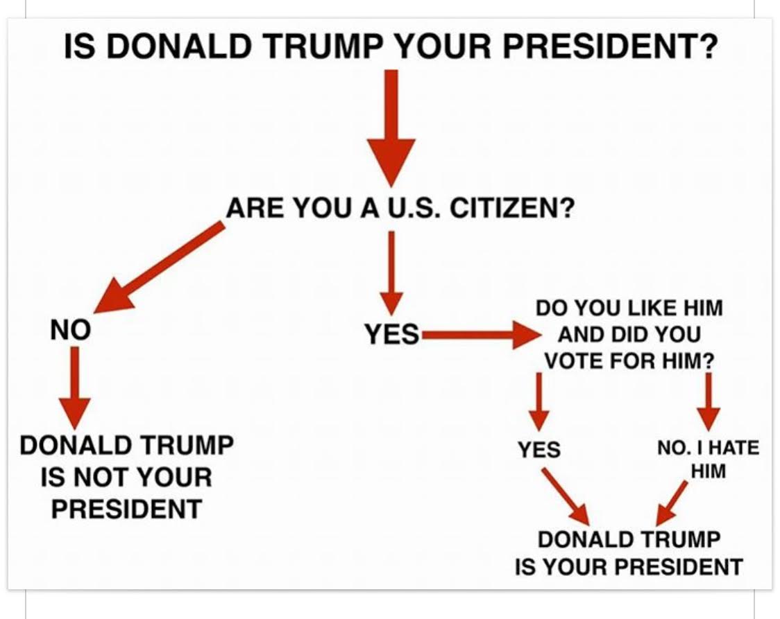 trump-my-president-flow-chart