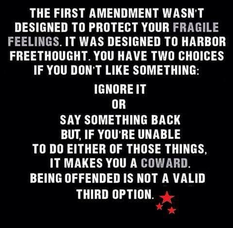 wisdom-purpose-of-first-amendment