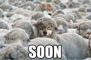 wolf-with-sheep