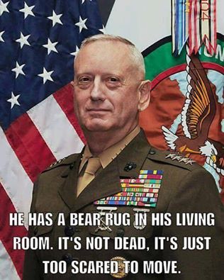 mattis-meme-bear-rug