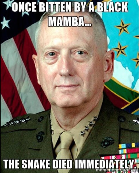 mattis-meme-black-mamba