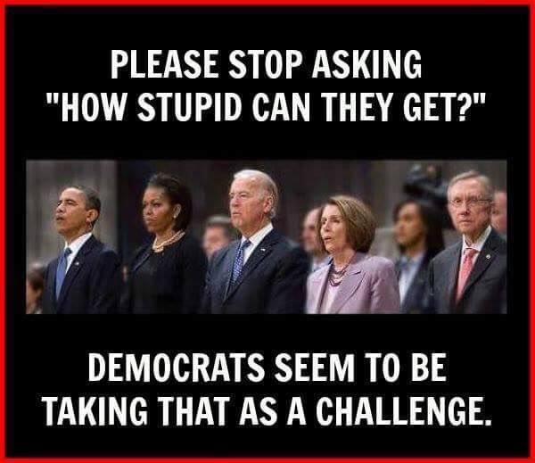 stupid-leftists-take-it-as-a-challenge