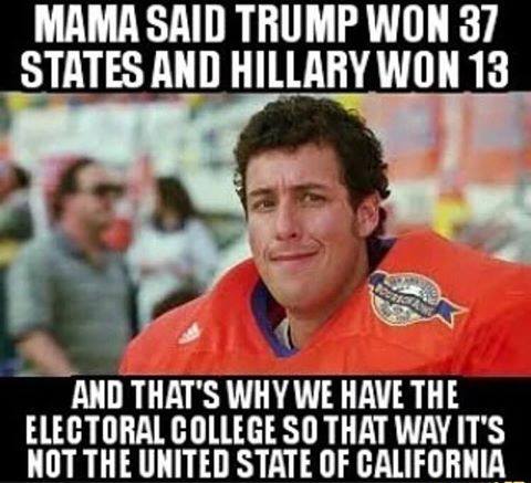 stupid-leftists-why-we-have-the-electoral-college