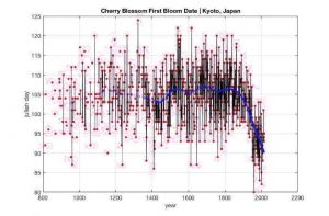 Cherry blossoms Kyoto Climate Change