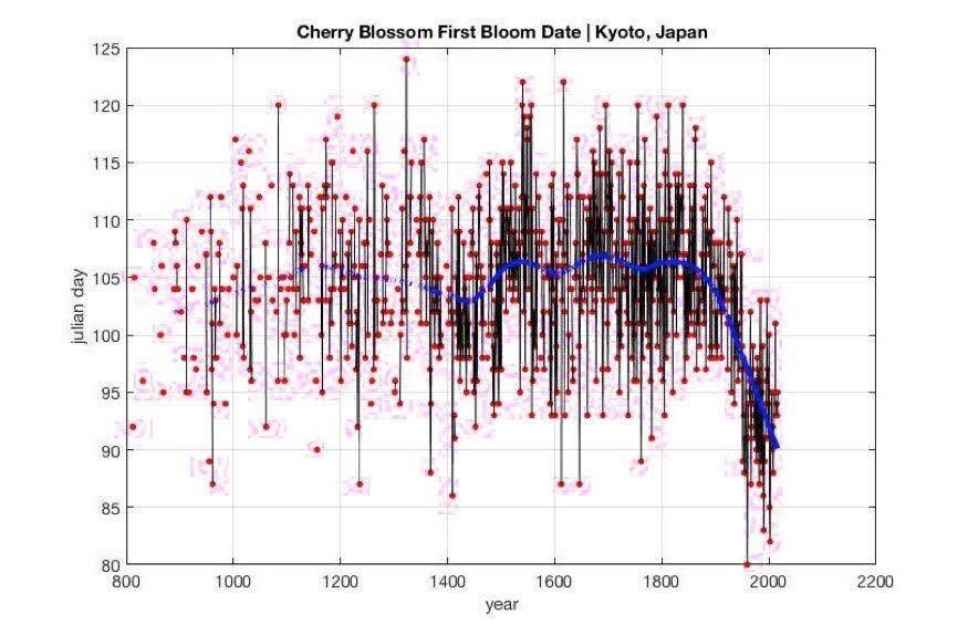 Cherry blossoms Kyoto Climate Change