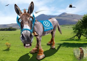 Support Democrats Donkey Democrat Party