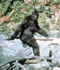 Big Foot and Climate Change