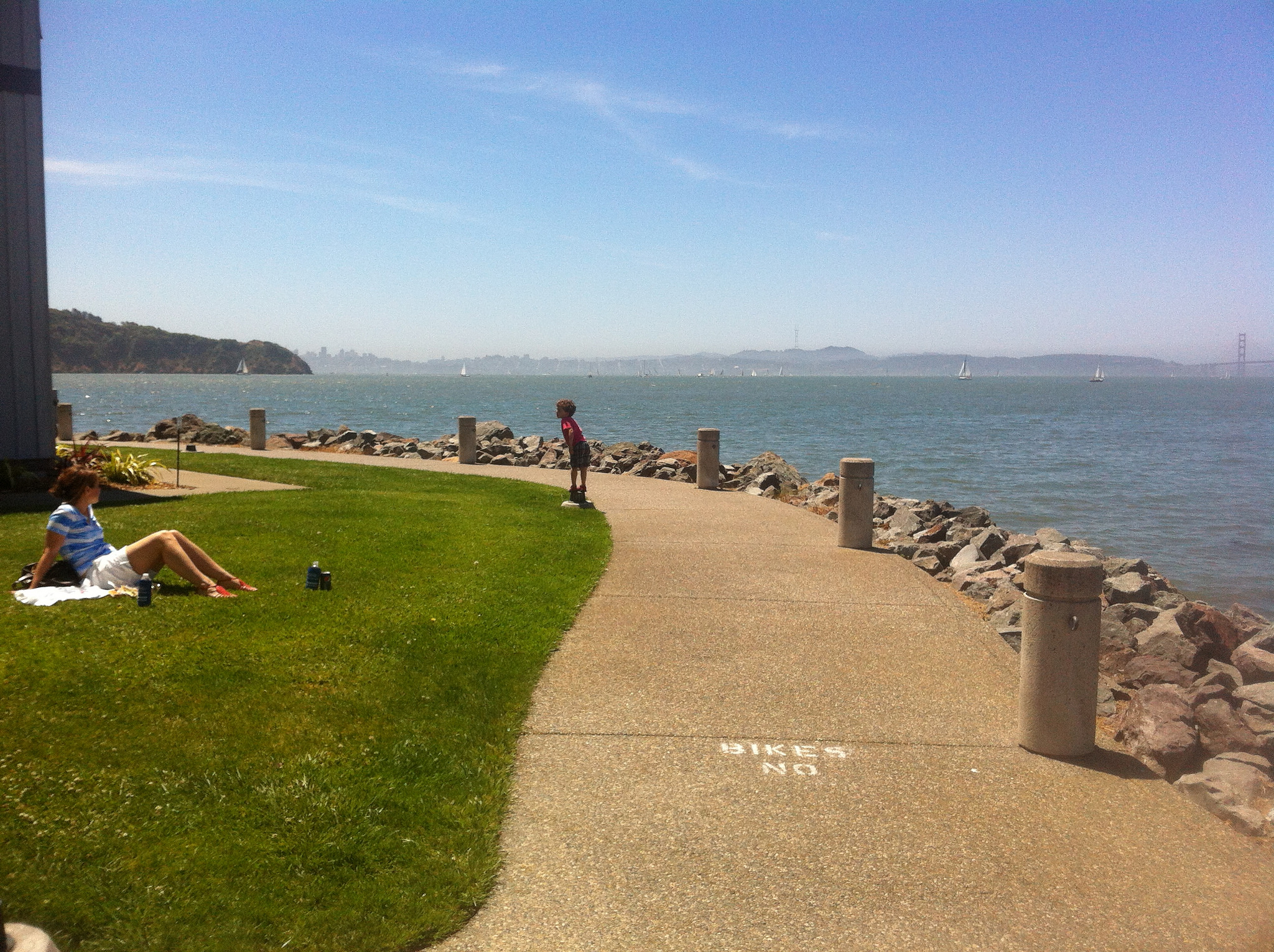 Climate Change post Marin County Tiburon shoreline