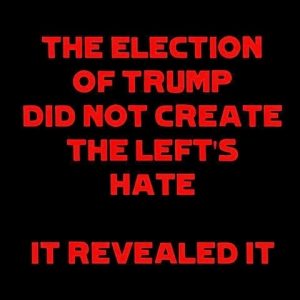 Illustrated edition Leftists hate