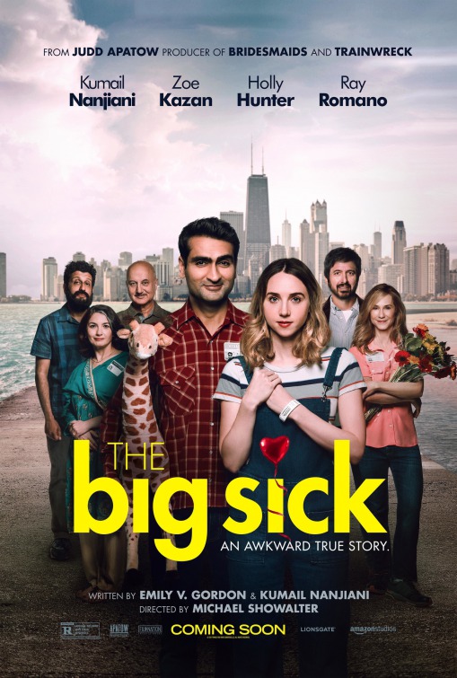 The Big Sick Hollywood Movies