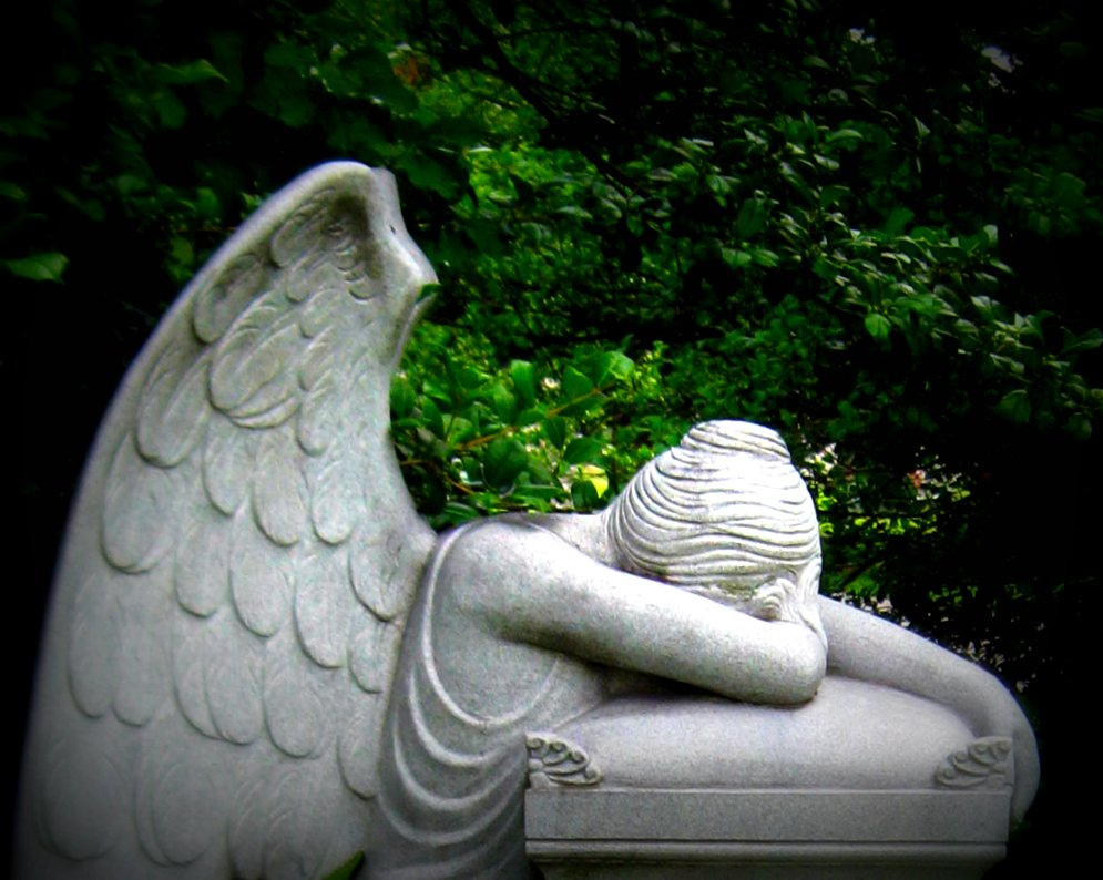 Angel of Grief Weeping Angel Illustrated edition