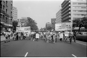 Feminism Women's Liberation Women's Rights