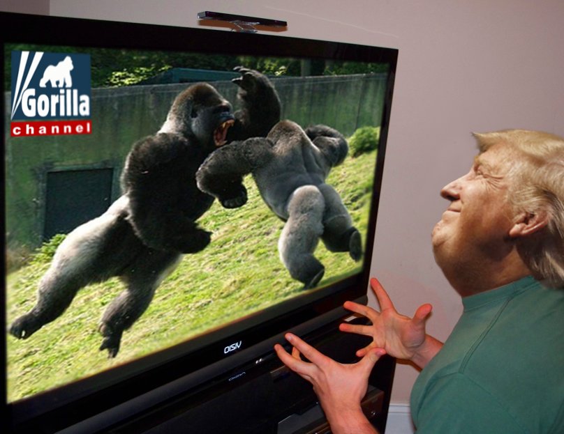 Gorilla Channel joke