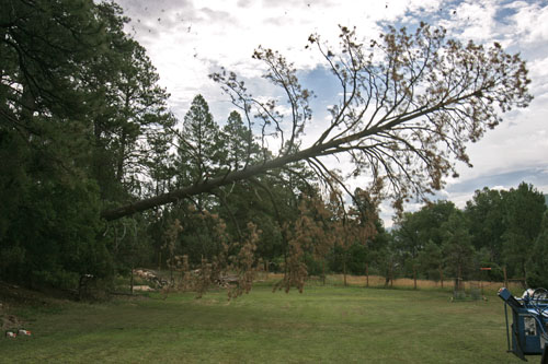 Obama scandal tree falling makes no sound