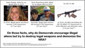 Democrats AR-15 NRA Illegal Aliens Guns