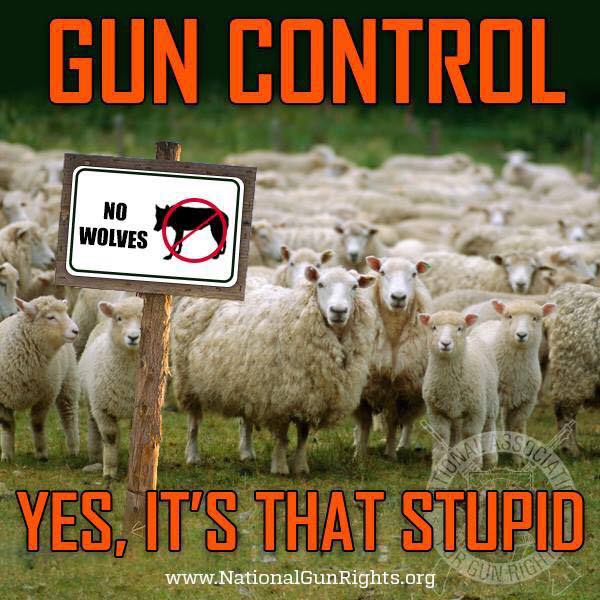 Second Amendment gun control sheep wolves Bookworm Beat