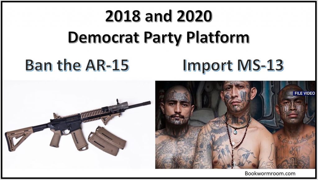 MS-13 AR-15 Democrats