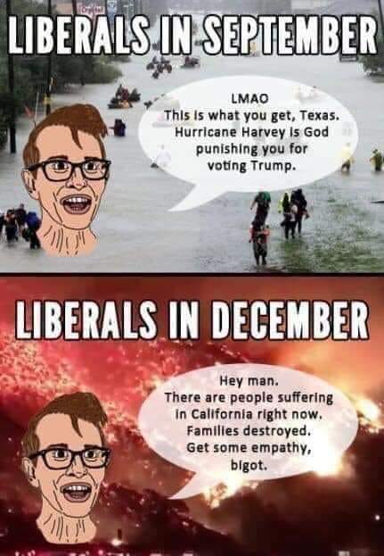 Stupid Leftists