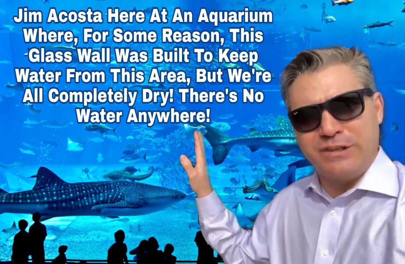 Acosta Border Wall Meme