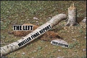 Mueller Report