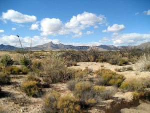 New Mexico desert 