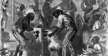 1619 Project Slaves Cotton Gin