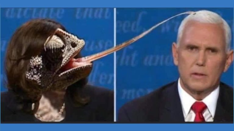 Bookworm Beat 10/8/20 — the post-debate illustrated edition – Bookworm Room